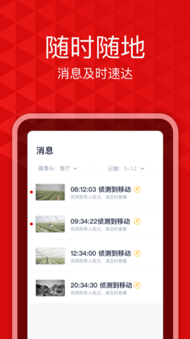 爱录图3