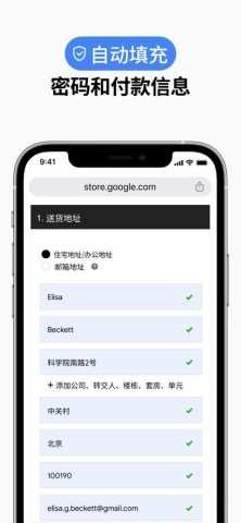 谷歌浏览器图3