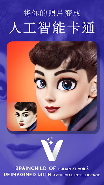 Voila图3