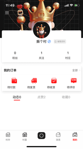 飞村图4