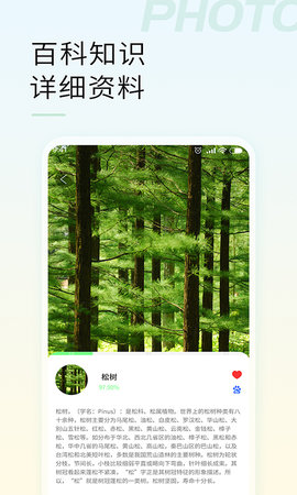 智能拍照识物图4