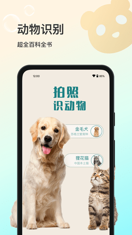 花卉识别-图2