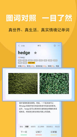 过目不忘单词图2