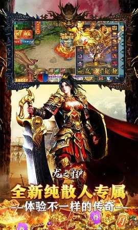 龙之守护免费版图4