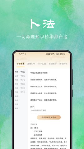 卜卜排盘图5