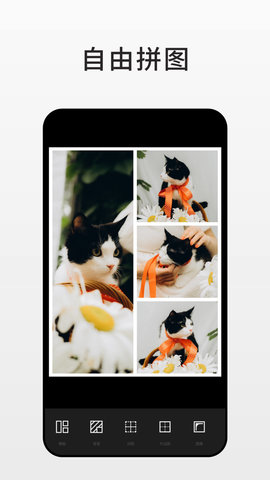 Fotor照片编辑器免费原版图4