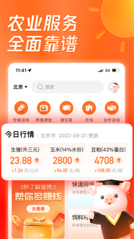 正大猪博士图1