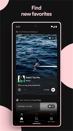 Spotify图5