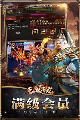 无双屠龙安卓直装版图2