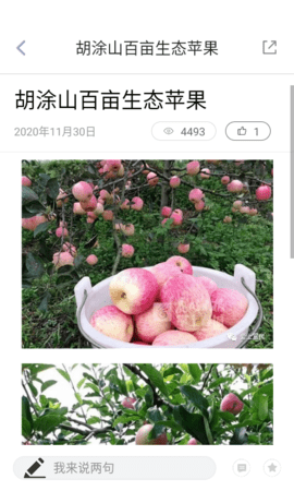 富民融媒图4