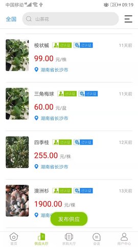 华苗木云图2