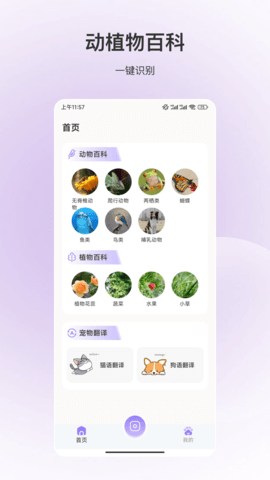百科全书(1)