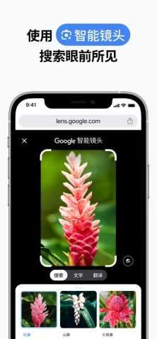 谷歌浏览器图1