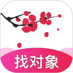 梅花再婚相亲原版