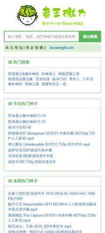 老王磁力图1