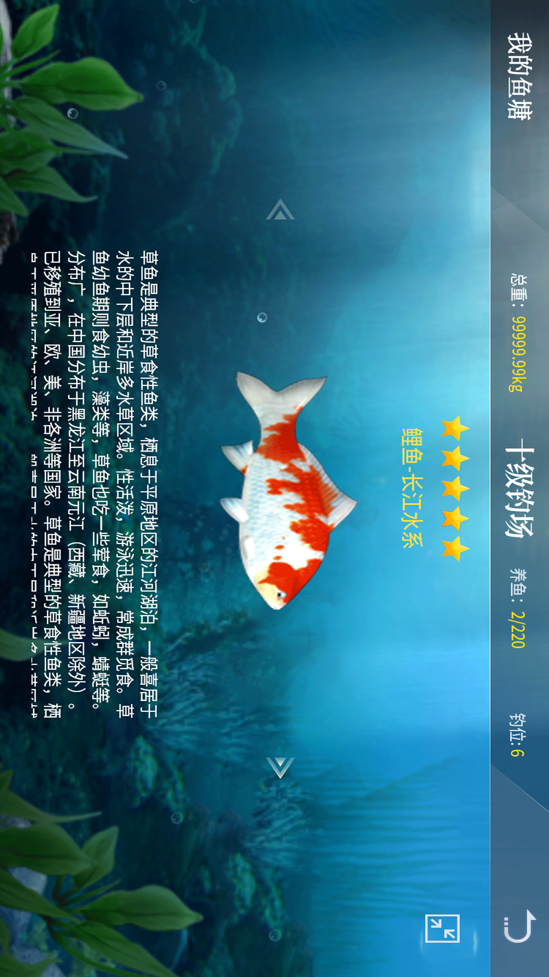 垂钓宗师(2)