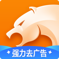 猎豹浏览器官方最新版