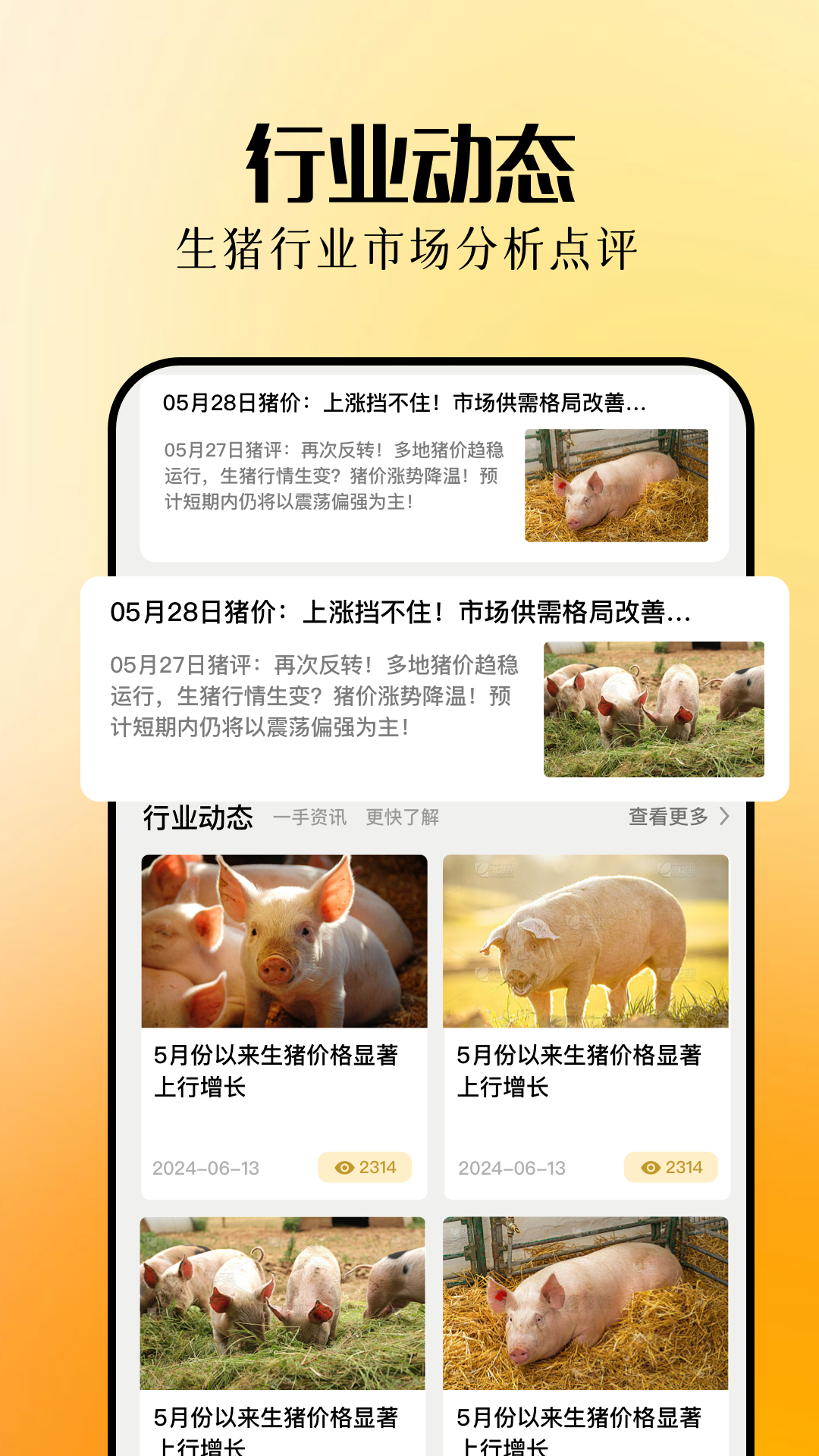 欢乐养猪场免费原版图4