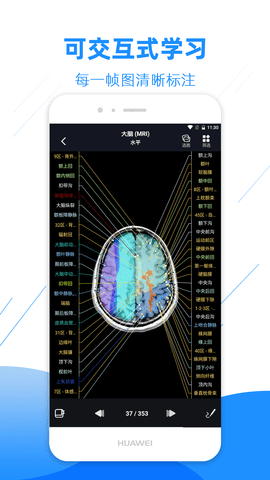 影像解剖图谱原版图2