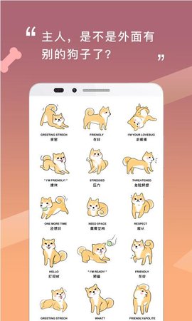 人狗交流器图4