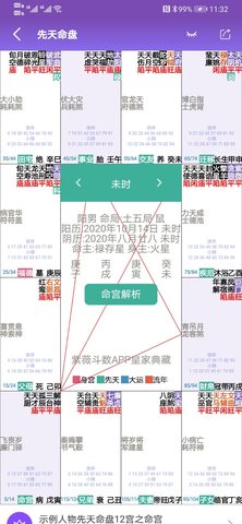 紫微斗数生辰八字图2