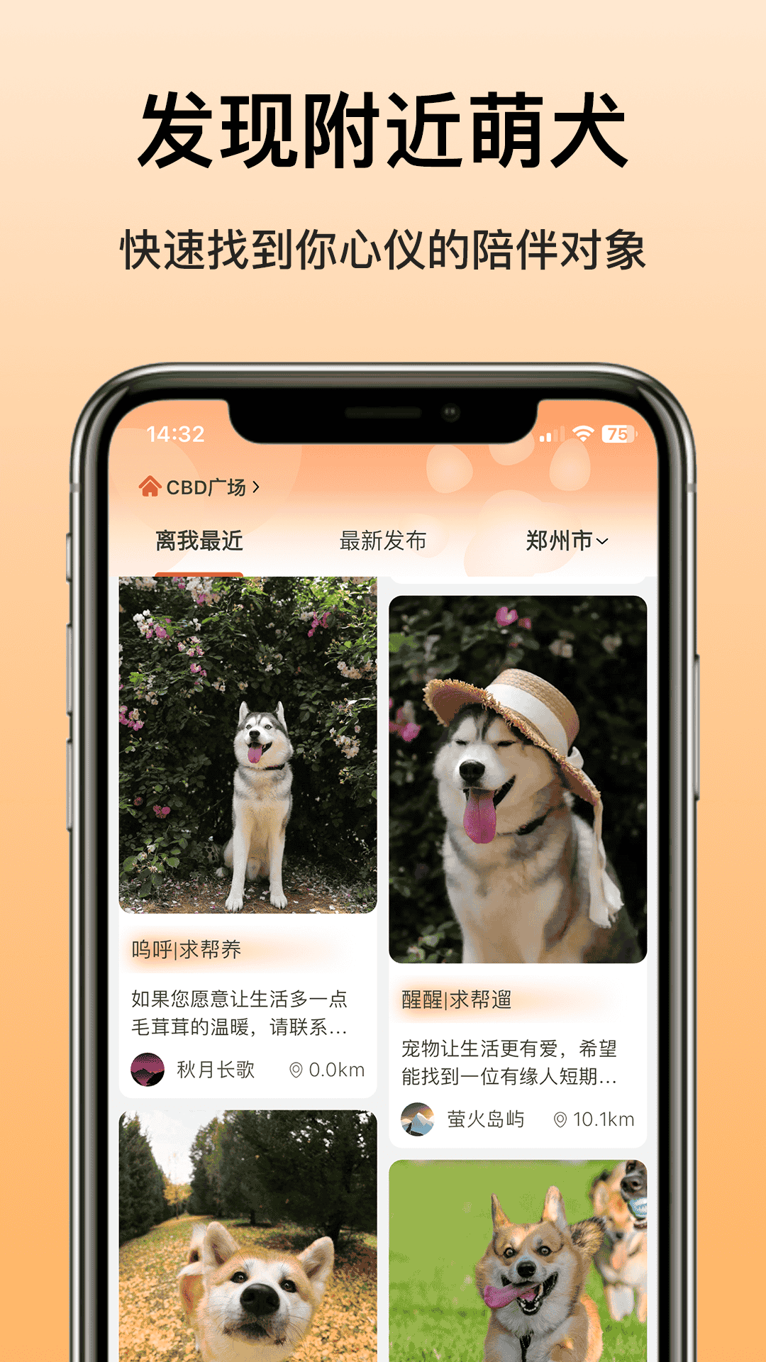 爱犬