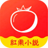 红果小说免费版