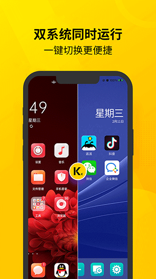 虚拟双开王手机最新版图2