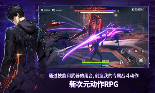 我独自升级游戏