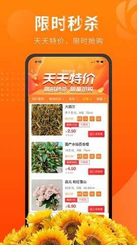 花比三家最新免费版