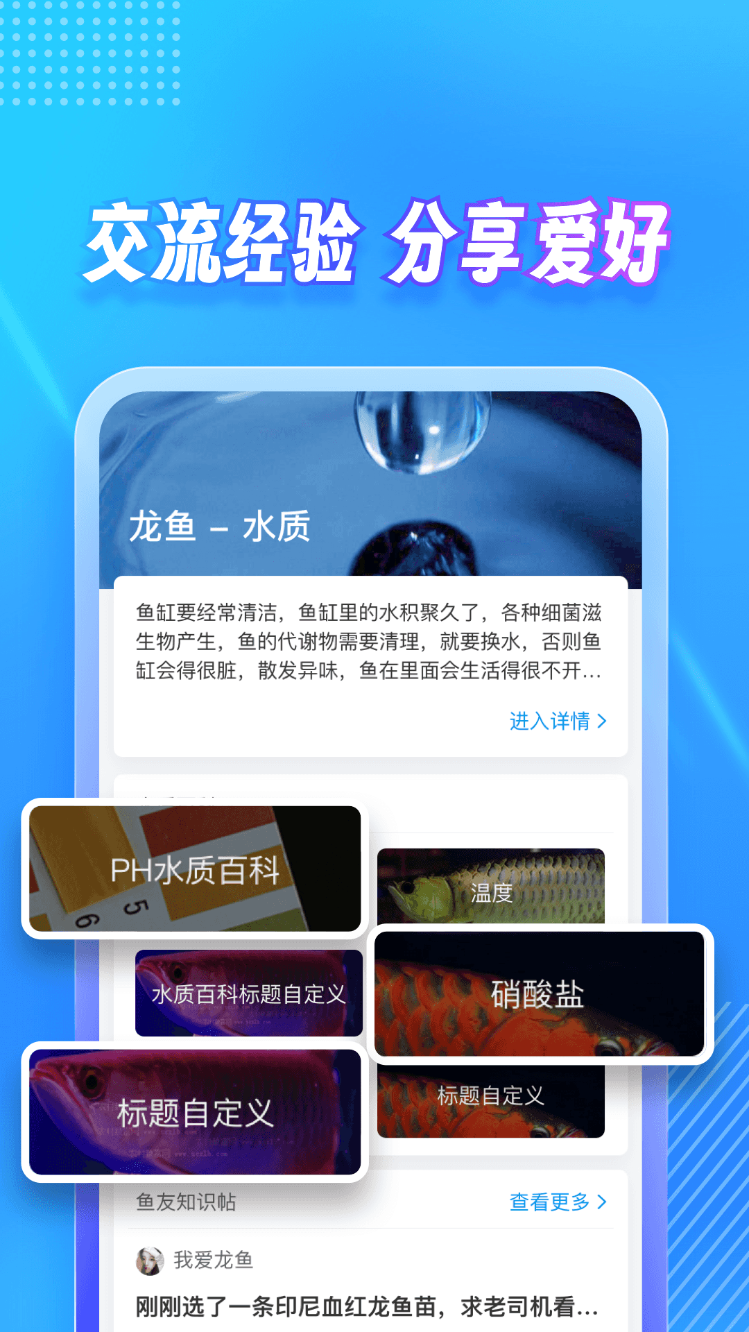 龙巅安卓官方版图3