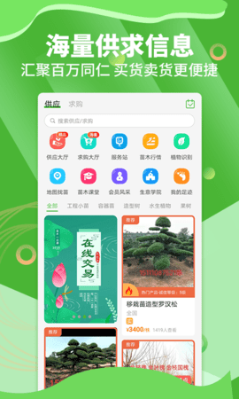 苗木通(1)