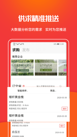 苗木网(3)