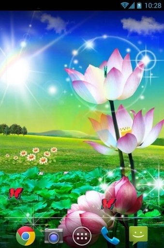 荷花壁纸截图2