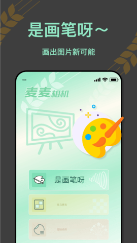 麦麦相机图2