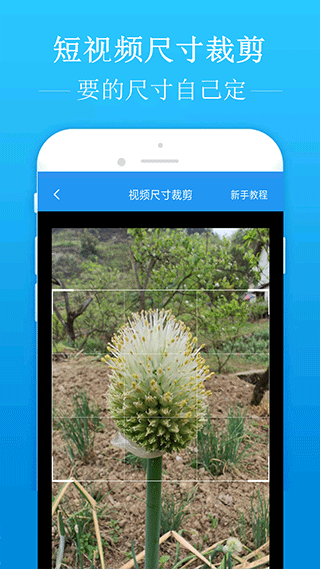 去水印吧手机版图2