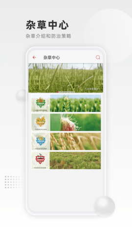 清原农冠图2