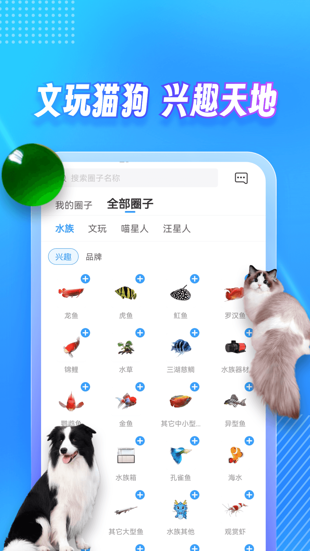 龙巅安卓官方版图2