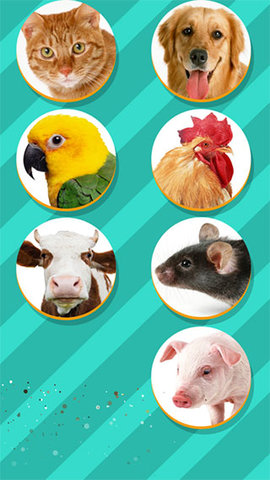 Pet Translator最新版图5