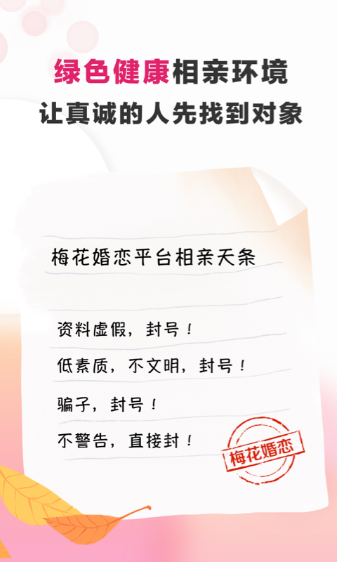 梅花再婚相亲原版图5