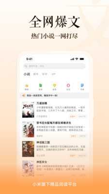 小米小说
