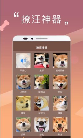 人狗交流器图3