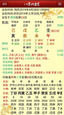 八字排盘宝(4)