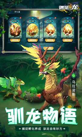 遇见龙(3)