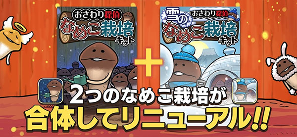 原始菇菇栽培实验室图2