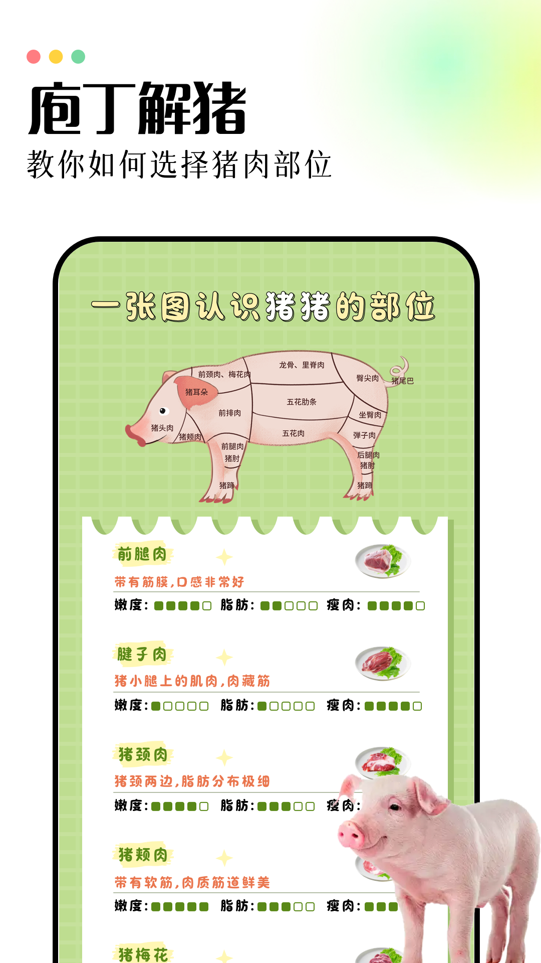 田园养猪场原版图4
