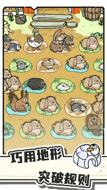 猫神牧场-图4