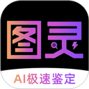 图灵鉴定最新免费版 V2.1.46
