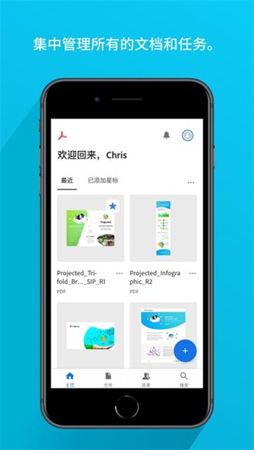 adobe acrobat图4