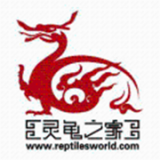 灵龟之家免费原版 V1.0.15